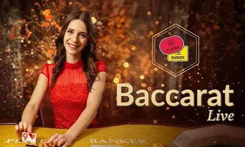 Diverse Casino Games and Promotions