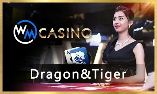 Poker Cards Icon
